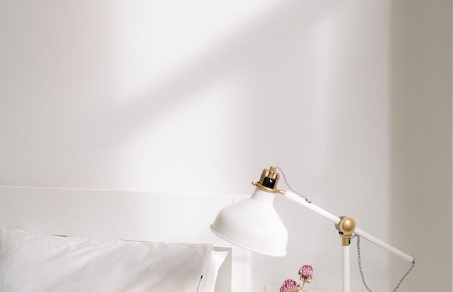 San Bernardo 19 - Foto 9