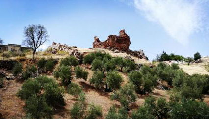 Casas Rurales Canserta - Foto 4