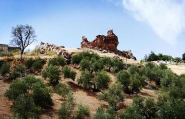 Casas Rurales Canserta - Foto 4