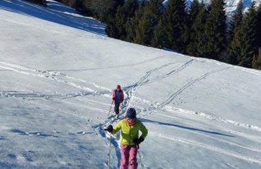 Alaska House - Yukon Room - Foto 49