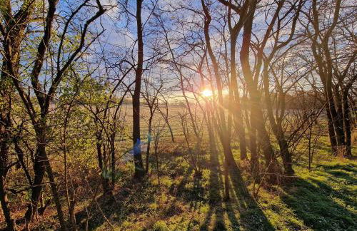 reoh I Maisonette am See I Malerischer Ausblick I Beamer I Berlin in 30min - Foto 52
