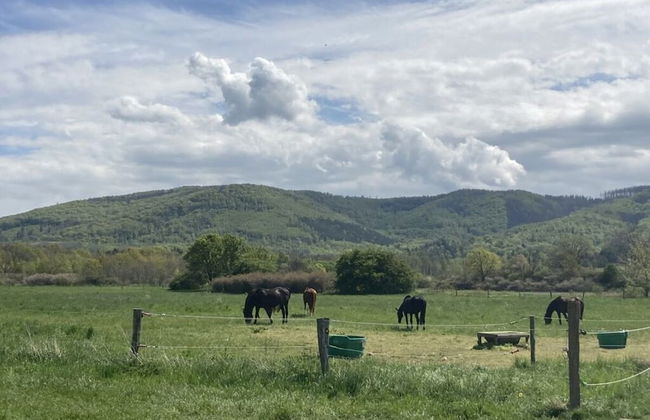 Summit Happiness at the Purple Beech - Foto 30