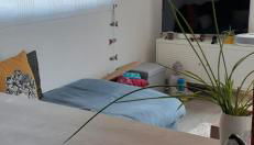 Maison moderne mitoyenne exposée plein sud avec terrasse - Foto 5