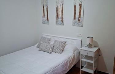 Apartahotel portal de leon - Photo 2