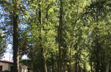 Sweet Quintanilha - Foto 23