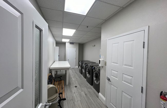 Univeral Disney Epic Shuttle - Foto 27