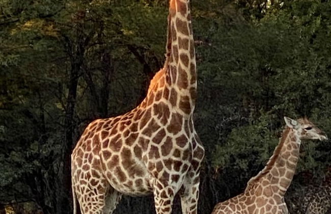 Waterberg Cottages - Foto 31