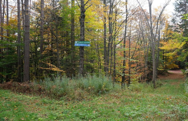 Ski in & out Spruce Glen Townhomes on Great Eastern Trail - Photo 18