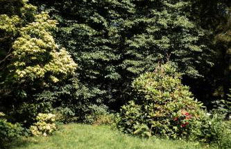 Gîte du vieux chêne - 6pers. - Jardin arboré - Foto 23