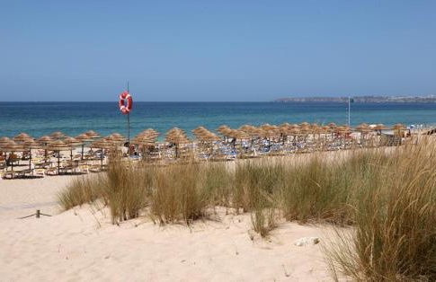 Fazenda do Sul - Foto 31