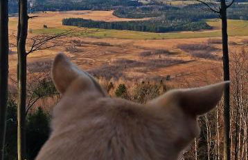 Ferienwohnung Gartenglück - Foto 64