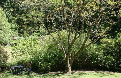 Millstream - Foto 18