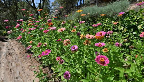 Allotjament Rural Solsona - Photo 4, Garden, Garden view