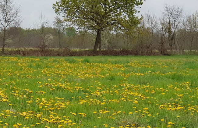 Cascina Moretta - Foto 12