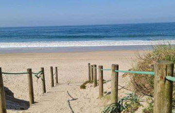 Moradia Pinheiro Manso - Foto 36