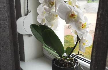 Arboretum Apartments Kórnik - Foto 50