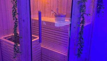 Loveroom de luxe avec jacuzzi sauna vapeur écran 300 cm - Foto 3