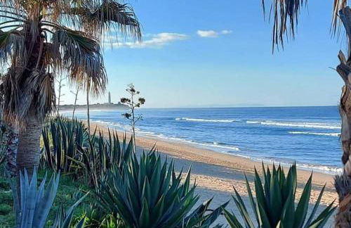 Finca el Abuelo Manuel - Foto 24