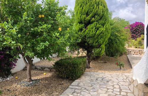 Dulce Carlota- llar dolça llar - Foto 11