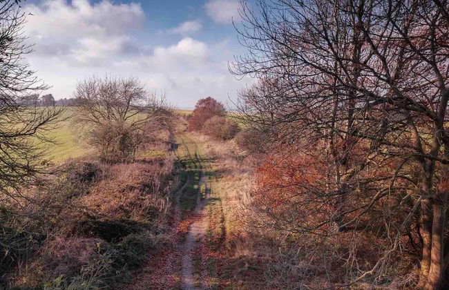 Cottage in Area of Outstanding Natural Beauty - Foto 39