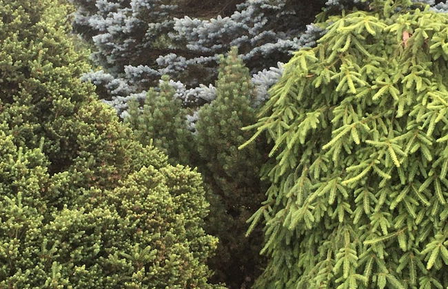 Haus der Schwalbe - Foto 37