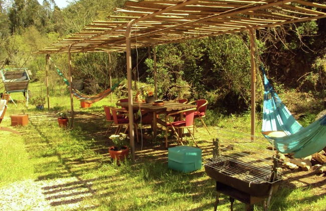 Quiet Cottage in Estate Casas da Cerca near Troviscais - Foto 21