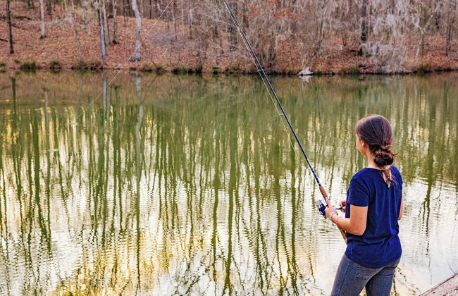 Providence Hill - Foto 14