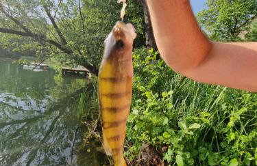 Apartament Nova Kamienica 1 - Foto 21