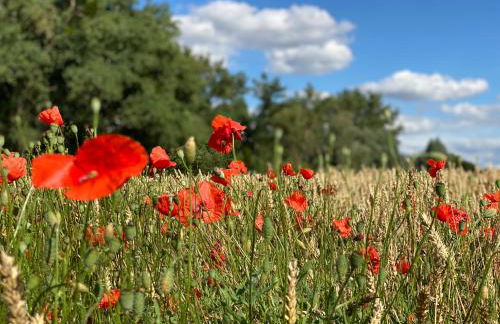 Karls Apartment B14 - Foto 20