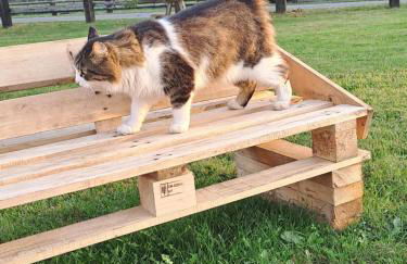 gite de la Chevrie - Photo 17