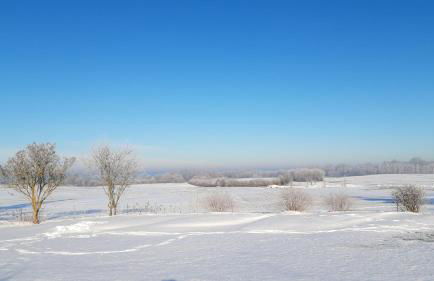 Bei-Schroeter-s - Photo 16