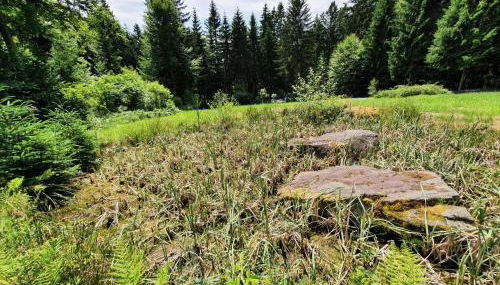 Schreinerhof - Foto 4