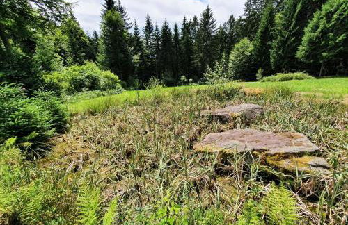 Schreinerhof - Foto 4