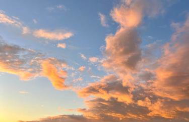 Villa Leopoldo by Istrian Country Houses - Photo 12