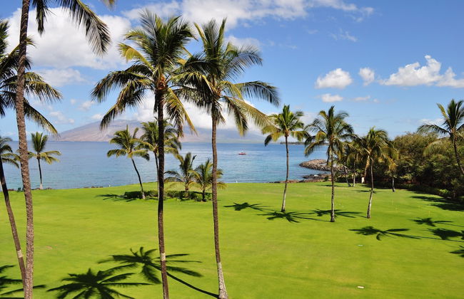 Kihei Surfside - Maui Condo & Home - Photo 18