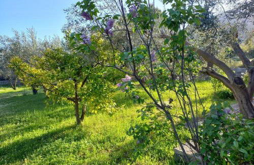 Campus Verde - Foto 21