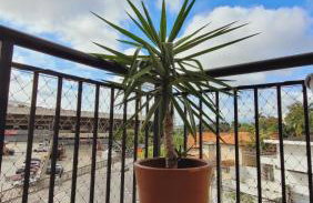 Apartamento 50m2 Hospital Einstein Morumbi - Foto 58