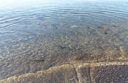 Wormshöft 16 - Foto 5