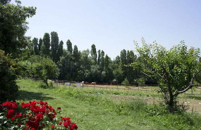 Agriturismo Case Mori - Foto 30