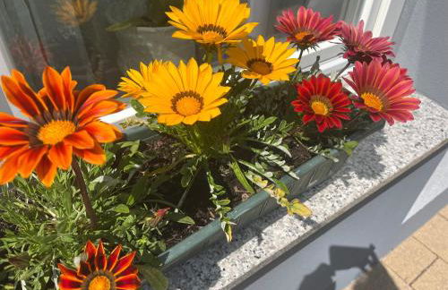 Apartment Vis-a-vis - Foto 20