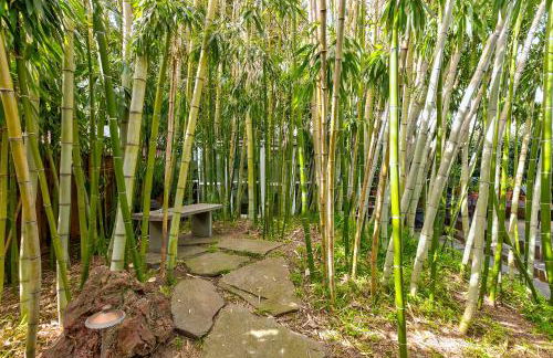Santana Row Garden Retreat Private Executive Residence with Koi Pond and Waterfall Walk to Santana Row Valley Fair Dining and Shopping Private Entrance - Photo 43
