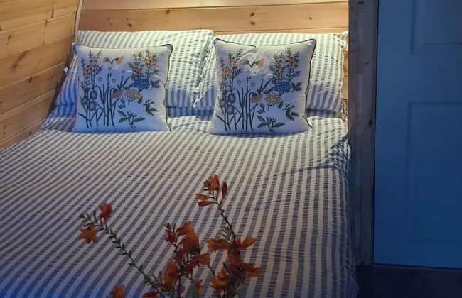 Beautiful and Cosy Garden Pod Saintives - Foto 11