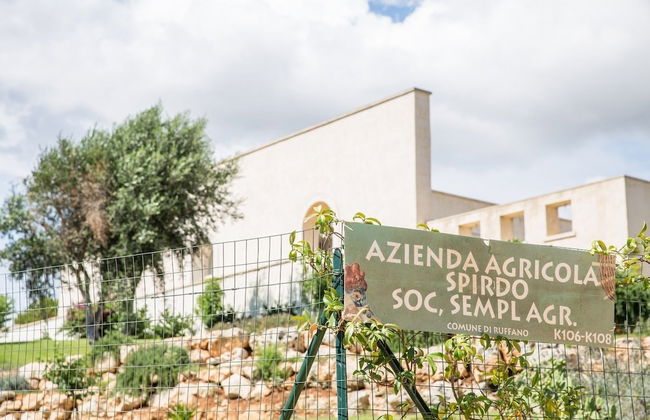 Azienda Agricola Spirdo - Foto 67