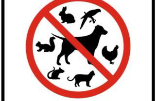 DOMAGAŁA domek całoroczny - Foto 19