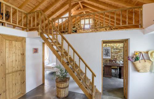 Plismoní - Photo 17