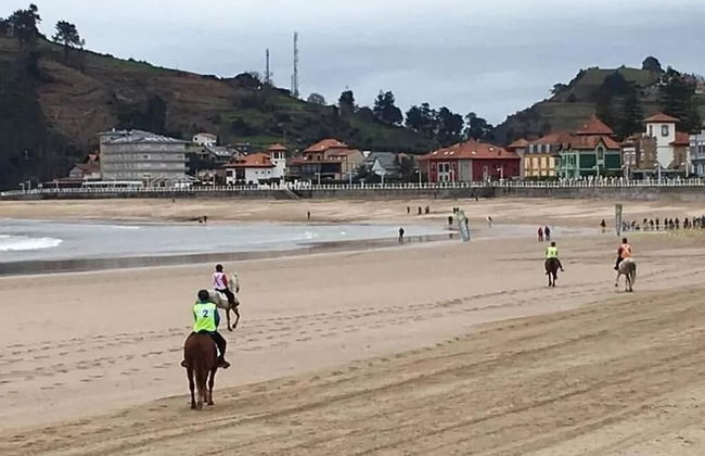 Sellamante2 Cozy and Stylish Apartment - Photo 25