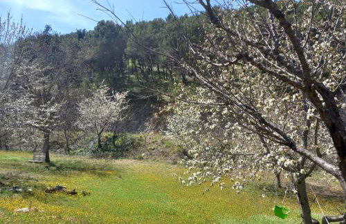 Immaculate 2-bed Cottage Near Krka Waterfalls - Foto 17