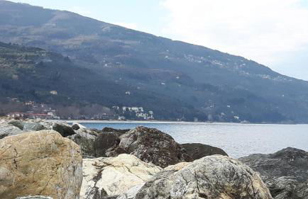 Dovas house - Foto 33