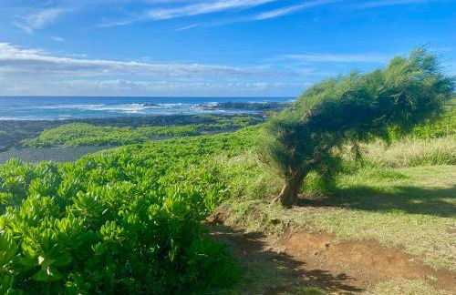 Beachfront 1 Bedroom Condo with Private Beach, Pool, Hot Tub - Foto 1