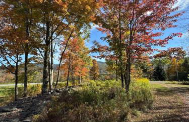 Mountain Retreat in the Catskills - Foto 27